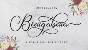 Biargabara Script › Fontesk