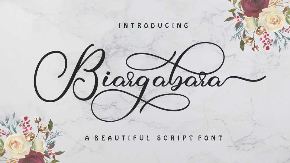 Biargabara Script › Fontesk