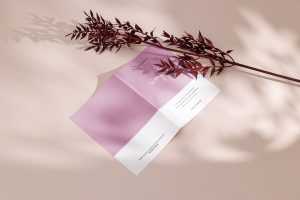 Bifold flyer with red plant mockup