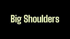 Big Shoulders Font Family › Fontesk