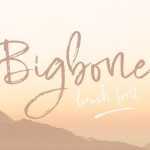 Bigbone Script Font › Fontesk