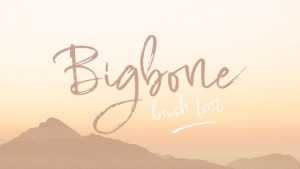 Bigbone Script Font › Fontesk