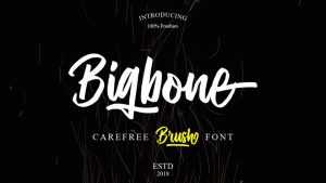 Bigbone Script › Fontesk