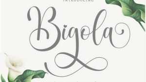 Bigola Script Font › Fontesk