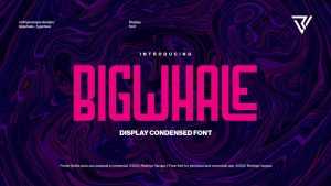 Bigwhale Font › Fontesk