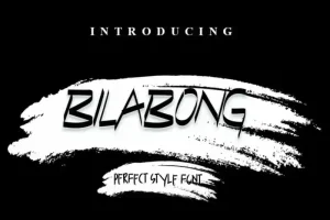 Bilabong Display Font