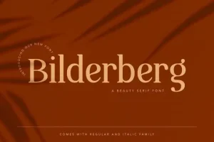 Bilderberg Serif Font