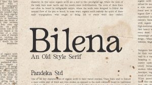 Bilena Font › Fontesk