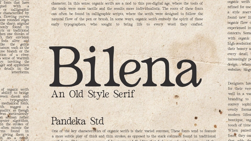 Bilena Font › Fontesk