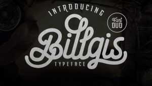 Billgis Script Font › Fontesk