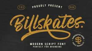 Billskates Script Font › Fontesk