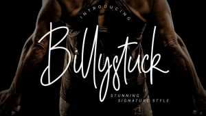 Billystuck Script Font › Fontesk