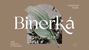 Binerka Font › Fontesk