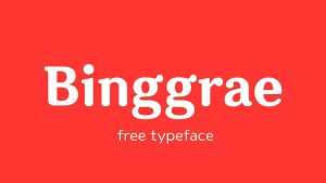 Binggrae Typeface › Fontesk