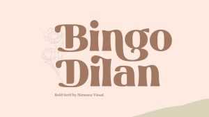 Bingo Dilan Font › Fontesk