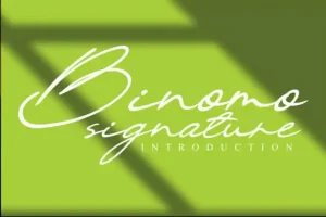 Binomo Handwritten Font
