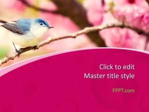 Bird PowerPoint Template