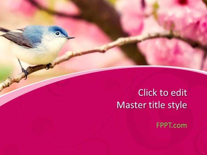 Bird PowerPoint Template