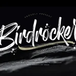 Birdrockers Brush Font