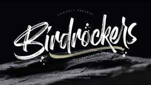 Birdrockers Brush Font › Fontesk