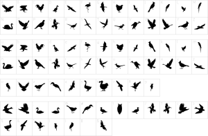 Mapa de caracteres da fonte Birds Of A Feather Font