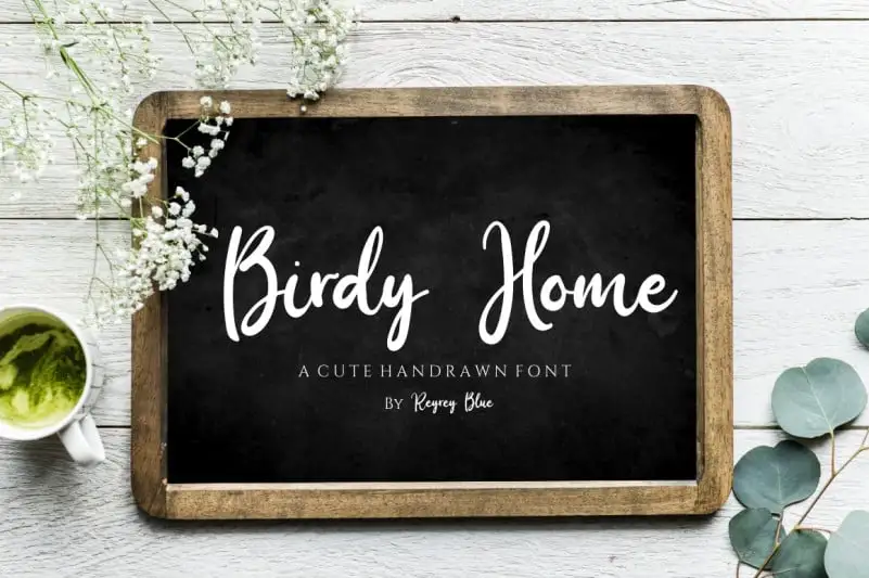 Birdy Home Script Font