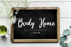 Birdy Home Script Font