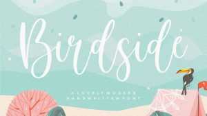 Birgside Script Font › Fontesk