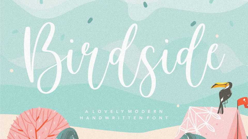 Birgside Script Font › Fontesk