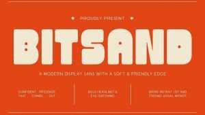 Bitsand Font › Fontesk