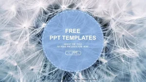 Black and white dandelion seeds with natural background PowerPoint Templates