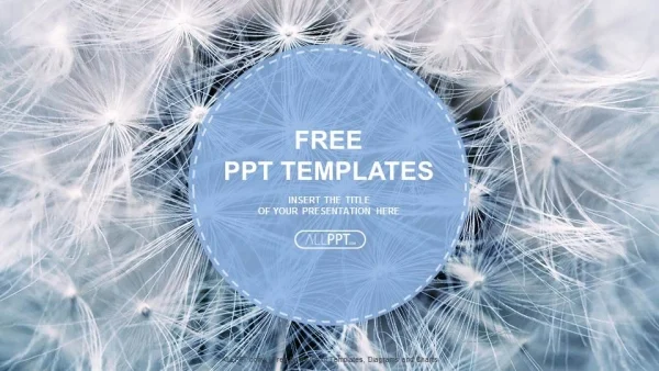 Black and white dandelion seeds with natural background PowerPoint Templates