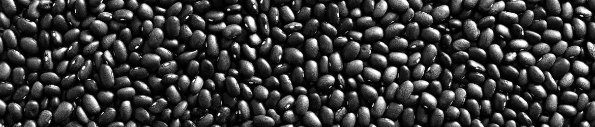 Black Beans Texture