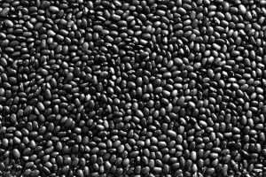 Black Beans Texture
