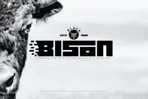 Black Bison Display Font