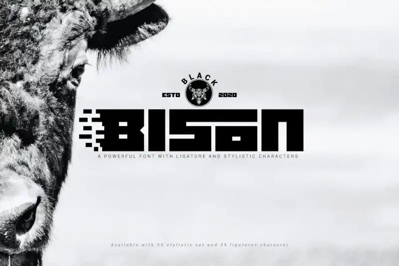 Black Bison Display Font