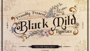 Black Mild Font › Fontesk