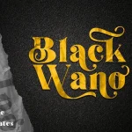 Black Wano Serif Font