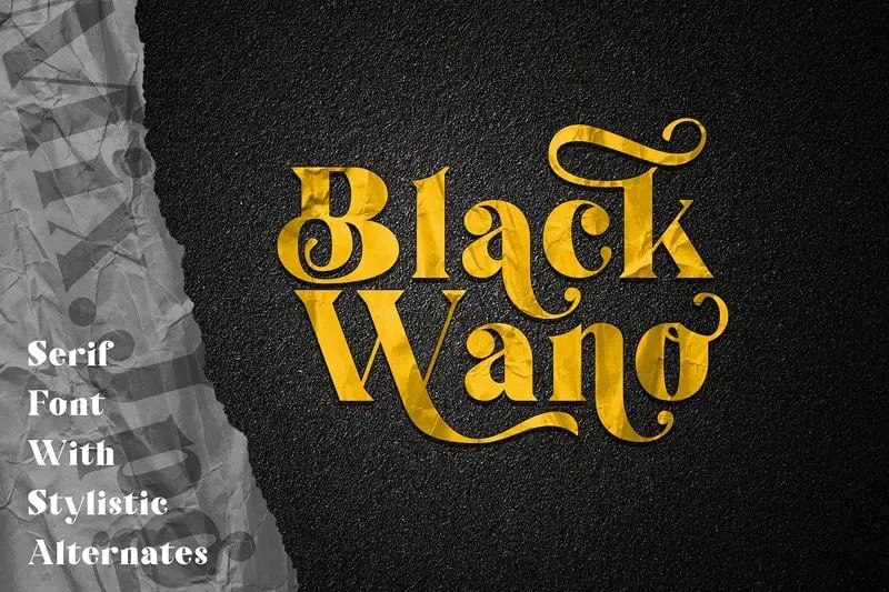 Black Wano Serif Font