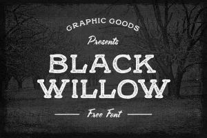 Black Willow Font