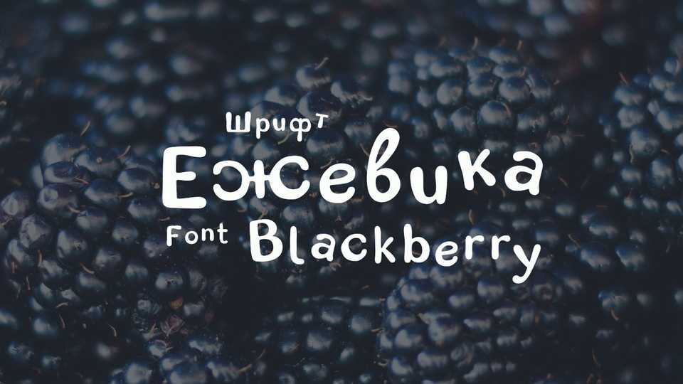 Blackberry Font › Fontesk