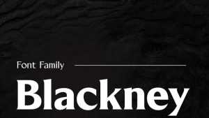 Blackney Font › Fontesk