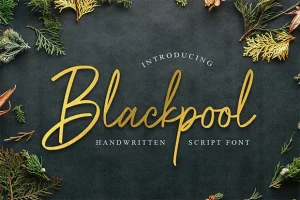 Blackpool Handwritten Font