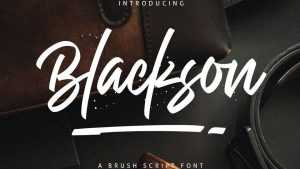 Blackson Font › Fontesk