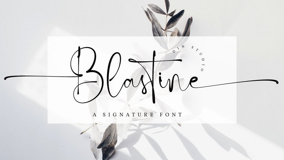 Blastine Font › Fontesk