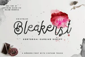 Bleakerst Script Font