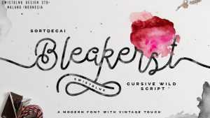 Bleakerst Script Font › Fontesk