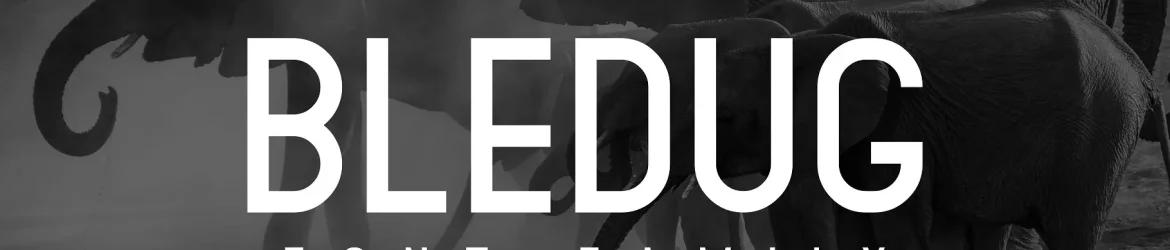 Bledug Font Family