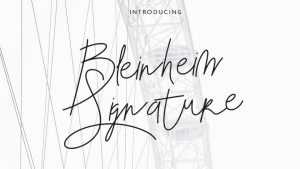 Bleinheim Script › Fontesk