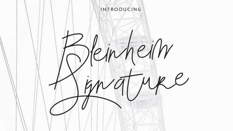 Bleinheim Script › Fontesk